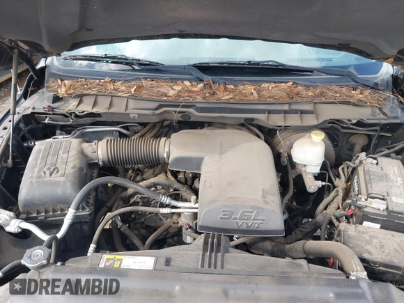 2015 Ram 1500 Big Horn with VIN 1C6RR6LG8FS580319, listed as a IAAI auction lot 42372528 with 122,770 mi miles and . Bid and sale history available at DreamBid. Image 10.