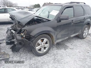 2011 Ford Escape XLT with VIN 1FMCU0D71BKA19572, listed as a IAAI auction lot 41226720 with 1 mi miles. Bid and sale history available at carsss.com. Image 2.