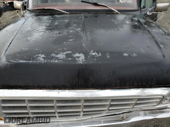 1978 Ford F-150 z VIN F15HCBB1515, wystawiony jako Copart lot #84641294 z przebiegiem 38 182 mil mil oraz Szkoda całkowita • Salvage title. Historia ofert i sprzedaży dostępna na DreamBid. Obrazek 11.
