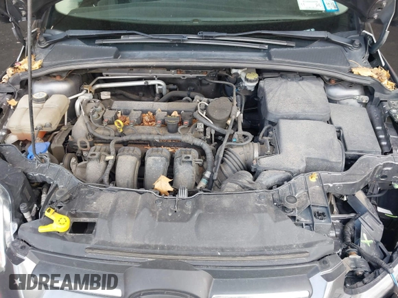 2013 Ford Focus SE with VIN 1FADP3F28DL113955, listed as a IAAI auction lot 41924051 with 107,858 mi miles. Bid and sale history available at carsss.com. Image 10.