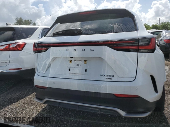 2023 Lexus NX with VIN 2T2KGCEZ2PC028150, listed as a Copart auction lot 61167724 with 11,327 mi miles and Non Repairable. Bid and sale history available at carsss.com. Image 6.