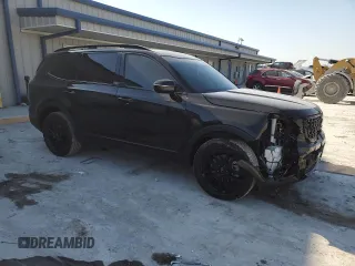 2024 Kia Telluride SX X-Line with VIN 5XYP5DGCXRG502514, listed as a Copart auction lot 48963985 with 20,560 mi miles and Salvage Title. Bid and sale history available at carsss.com. Image 4.