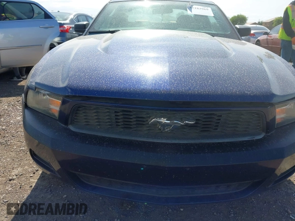 2011 Ford Mustang V6 with VIN 1ZVBP8AM5B5137104, listed as a IAAI auction lot 42183969 with 154,402 mi miles and . Bid and sale history available at DreamBid. Image 6.