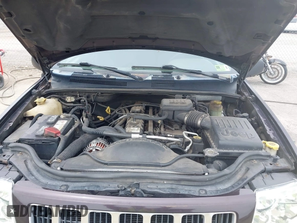 2004 Jeep Grand Cherokee Laredo z VIN 1J4GW48S94C209326, wystawiony jako IAAI lot #42309565 z przebiegiem 159 429 mil mil oraz . Historia ofert i sprzedaży dostępna na DreamBid. Obrazek 10.