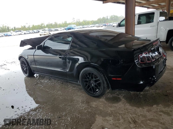 2014 Ford Mustang V6 with VIN 1ZVBP8AM7E5316443, listed as a Copart auction lot 80991534 with Not Provided miles and Salvage Title. Bid and sale history available at DreamBid. Image 2.
