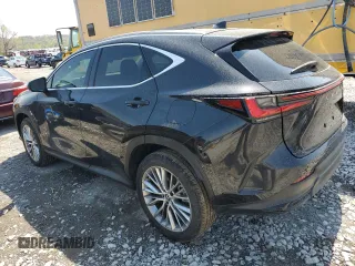 2025 Lexus NX 350 Premium with VIN 2T2GGCEZ1SC073837, listed as a Copart auction lot 53096925 with 304 mi miles and Salvage title. Bid and sale history available at DreamBid. Image 2.