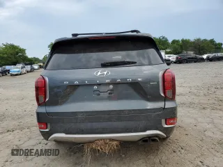 2020 Hyundai Palisade SEL with VIN KM8R3DHE1LU131520, listed as a Copart auction lot 64320425 with Not provided miles and Clean title. Bid and sale history available at DreamBid. Image 6.