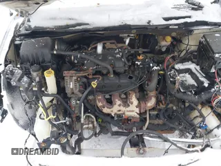 2009 Dodge Grand Caravan with VIN 2D8HN11E19R703857, listed as a IAAI auction lot 41195565 with 199,776 mi miles and . Bid and sale history available at DreamBid. Image 10.