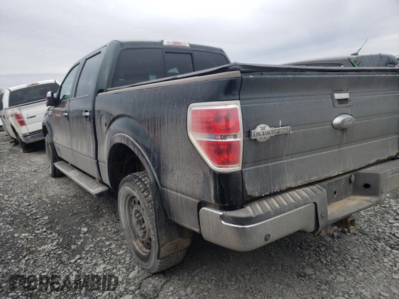 2013 Ford F-150 with VIN 2ATE01102DKD97632, listed as a Copart auction lot 49815235 with Not provided miles and Salvage title. Bid and sale history available at DreamBid. Image 2.