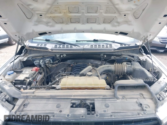 2019 Ford F-150 XL with VIN 1FTFX1E50KFB36564, listed as a IAAI auction lot 42197885 with 172,170 mi miles and . Bid and sale history available at DreamBid. Image 10.