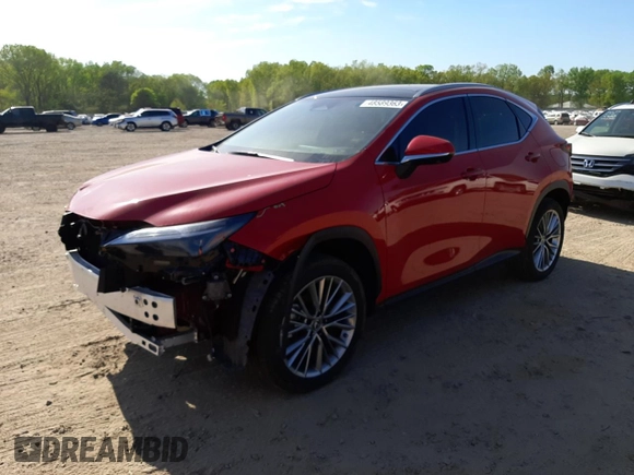 2022 Lexus NX with VIN JTJHGCEZ6N2007793, listed as a Copart auction lot 48589363 with 2,884 mi miles. Bid and sale history available at carsss.com. Image 1.
