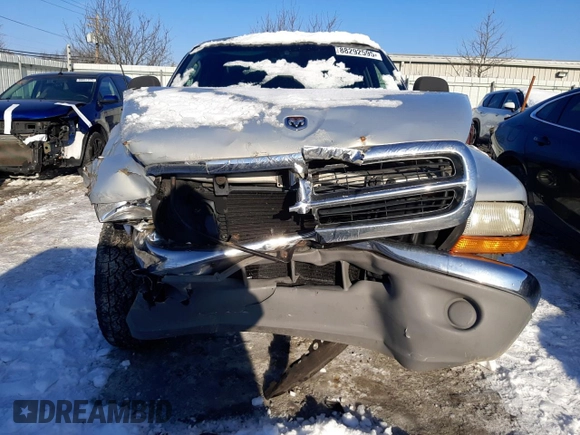1999 Dodge Dakota SLT with VIN 1B7GG22X1XS282681, listed as a Copart auction lot 88292595 with Not Provided miles and Salvage Title. Bid and sale history available at carsss.com. Image 5.