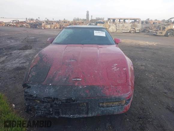 1991 Chevrolet Corvette z VIN 1G1YY2385M5117941, wystawiony jako IAAI lot #41408362 z przebiegiem Nie podano mil oraz . Historia ofert i sprzedaży dostępna na DreamBid. Obrazek 12.