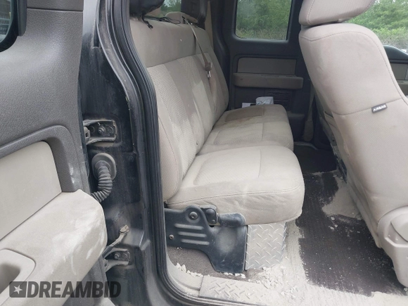 2010 Ford F-150 XL with VIN 1FTEX1E81AFA48403, listed as a IAAI auction lot 42499944 with 215,900 mi miles and . Bid and sale history available at DreamBid. Image 8.