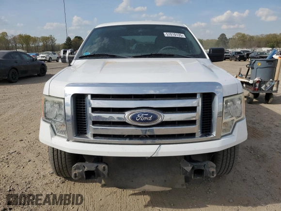 2010 Ford F-150 XL with VIN 1FTEW1C88AFA87575, listed as a Copart auction lot 51010135 with 190,599 mi miles and Clean Title. Bid and sale history available at carsss.com. Image 5.
