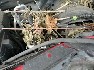 2019 Chevrolet Silverado 1500 LT Trail Boss with VIN 3GCPYFED5KG130814, listed as a Copart auction lot 71036305 with 86,396 mi miles and Salvage title. Bid and sale history available at DreamBid. Image 15.