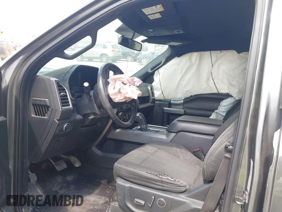 2016 Ford F-150 XLT z VIN 1FTEW1EF3GKE11169, wystawiony jako IAAI lot #42068291 z przebiegiem 204 141 mil mil oraz . Historia ofert i sprzedaży dostępna na DreamBid. Obrazek 5.