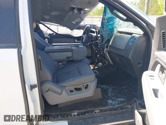 2013 Ford F-150 XL with VIN 1FTFX1EFXDFC59882, listed as a IAAI auction lot 42025983 with 291,615 mi miles and . Bid and sale history available at carsss.com. Image 5.