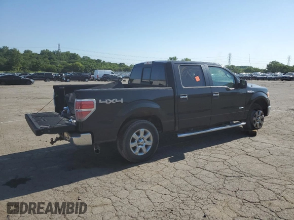 2013 Ford F-150 XL with VIN 1FTFW1ET7DKD93510, listed as a Copart auction lot 63339755 with 206,976 mi miles and Clean title. Bid and sale history available at DreamBid. Image 3.