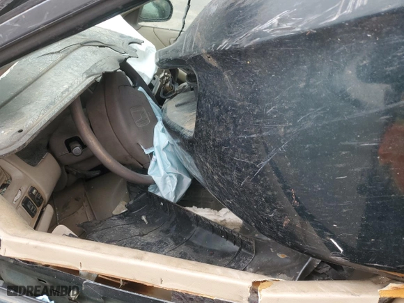 1999 Honda Accord Sdn EX with VIN 1HGCG1655XA046530, listed as a Copart auction lot 48262325 with 0 mi miles and Salvage Title. Bid and sale history available at carsss.com. Image 7.