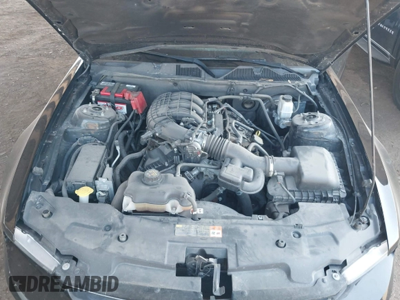 2012 Ford Mustang Premium with VIN 1ZVBP8AM3C5287407, listed as a IAAI auction lot 42433094 with 132,341 mi miles and . Bid and sale history available at DreamBid. Image 10.