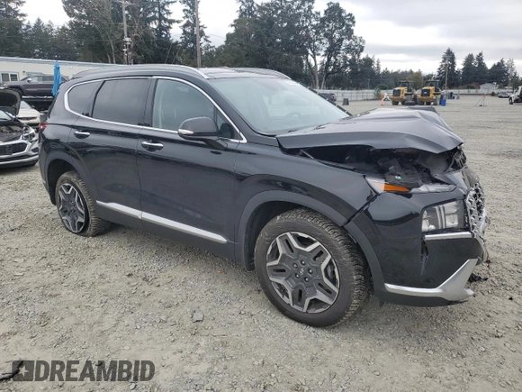 2022 Hyundai Santa Fe Hybrid SEL Premium with VIN KM8S3DA11NU029629, listed as a Copart auction lot 75606294 with 44,110 mi miles and Salvage Title. Bid and sale history available at carsss.com. Image 4.