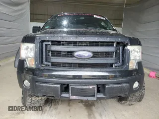 2014 Ford F-150 XL with VIN 1FTEX1EM2EFB44866, listed as a Copart auction lot 57209585 with Not provided miles and Clean title. Bid and sale history available at DreamBid. Image 5.