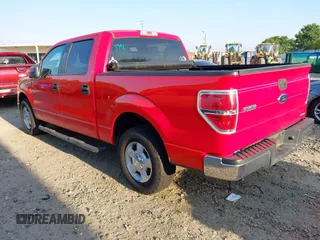 2013 Ford F-150 XL with VIN 1FTEW1CMXDKE99134, listed as a IAAI auction lot 42058789 with 218,432 mi miles. Bid and sale history available at carsss.com. Image 3.
