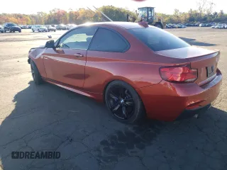 2018 BMW 2 Series 230i xDrive with VIN WBA2J3C53JVA49891, listed as a Copart auction lot 75574104 with 55,253 mi miles and Salvage title. Bid and sale history available at DreamBid. Image 2.