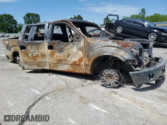 2009 Ford F-150 XL with VIN 1FTRW14869FB28507, listed as a Copart auction lot 57988205 with Not provided miles and Non repairable. Bid and sale history available at DreamBid. Image 4.