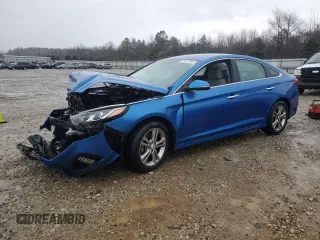 2019 Hyundai Sonata SEL with VIN 5NPE34AFXKH783387, listed as a Copart auction lot 47811045 with 132,069 mi miles and Salvage Title. Bid and sale history available at DreamBid. Image 1.