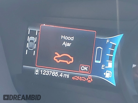 2016 Ford Fusion Titanium with VIN 3FA6P0SU9GR134575, listed as a IAAI auction lot 42338427 with 123,765 mi miles and . Bid and sale history available at DreamBid. Image 16.