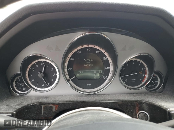 2010 Mercedes-Benz E 550 Luxury with VIN WDDHF7CB3AA134560, listed as a Copart auction lot 48516615 with 165,533 mi miles and Salvage Title. Bid and sale history available at DreamBid. Image 9.
