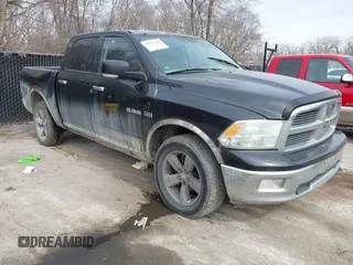 2010 Dodge 1500 SLT z VIN 1D7RV1CT9AS228384, wystawiony jako IAAI lot #41691318 z przebiegiem 214 265 mil mil oraz . Historia ofert i sprzedaży dostępna na DreamBid. Obrazek 1.