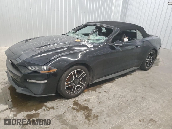 2023 Ford Mustang EcoBoost с VIN 1FATP8UH4P5109930, выставлен на аукционе Copart как лот 60831445 с пробегом 42 594 миль миль и Списание • Salvage title. История ставок и продаж доступна на DreamBid. Изображение 1.