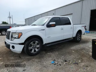2011 Ford F-150 XLT with VIN 1FTFW1CT1BKD40334, listed as a Copart auction lot 64204935 with 172,189 mi miles and Salvage title. Bid and sale history available at DreamBid. Image 1.