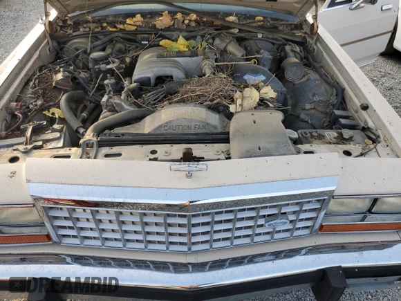 1986 Ford Crown Victoria z VIN 2FABP43F4GX118923, wystawiony jako Copart lot #76413794 z przebiegiem 74 097 mil mil oraz Tytuł czysty. Historia ofert i sprzedaży dostępna na DreamBid. Obrazek 11.