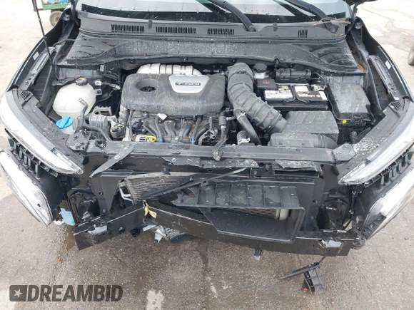 2019 Hyundai Kona Limited with VIN KM8K3CA59KU239307, listed as a IAAI auction lot 41607380 with 42,454 mi miles. Bid and sale history available at carsss.com. Image 10.