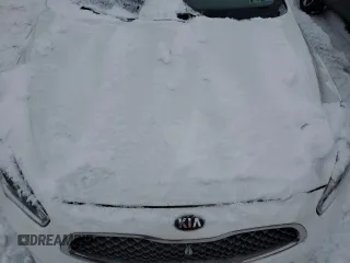 2016 Kia Cadenza Premium with VIN KNALN4D78G5208098, listed as a Copart auction lot 87902265 with 0 mi miles and Clean Title. Bid and sale history available at carsss.com. Image 11.