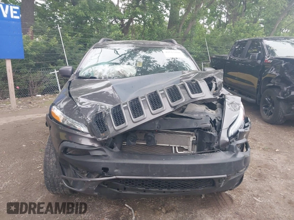 2018 Jeep Cherokee Trailhawk with VIN 1C4PJMBB0JD564792, listed as a IAAI auction lot 42513208 with 173,484 mi miles and . Bid and sale history available at DreamBid. Image 12.