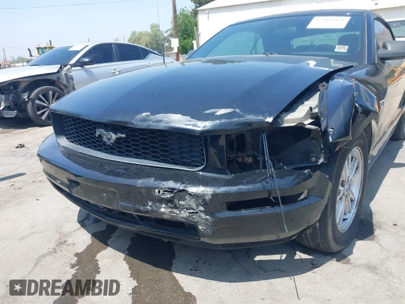 2005 Ford Mustang Deluxe with VIN 1ZVFT84N455189166, listed as a IAAI auction lot 42461064 with 144,956 mi miles and . Bid and sale history available at DreamBid. Image 12.