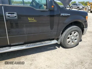 2013 Ford F-150 XL with VIN 1FTFW1EF5DKD25328, listed as a Copart auction lot 52443495 with 166,386 mi miles and Salvage Title. Bid and sale history available at carsss.com. Image 12.