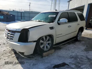 2007 Cadillac Escalade with VIN 1GYFK63877R407919, listed as a Copart auction lot 45593025 with 192,163 mi miles and Salvage Title. Bid and sale history available at carsss.com. Image 1.