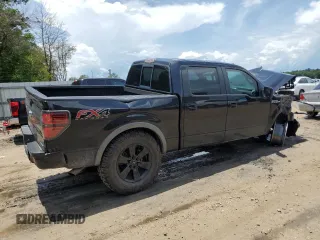 2014 Ford F-150 XL with VIN 1FTFW1EF7EFA05843, listed as a Copart auction lot 60824685 with 170,071 mi miles and Salvage title. Bid and sale history available at DreamBid. Image 3.