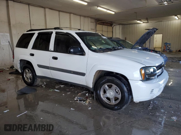 2004 Chevrolet TrailBlazer LS with VIN 1GNDS13S642165230, listed as a Copart auction lot 46272915 with 143,115 mi miles and Salvage Title. Bid and sale history available at carsss.com. Image 4.
