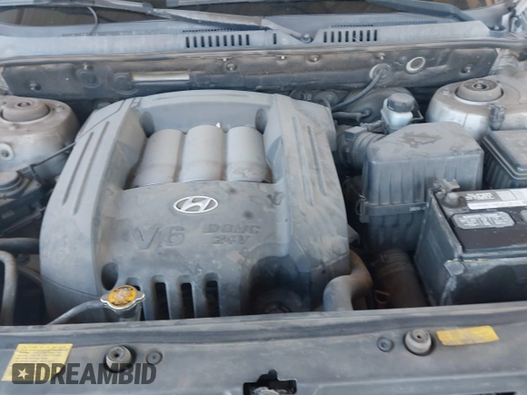 2005 Hyundai Santa Fe GLS with VIN KM8SC73D55U960384, listed as a IAAI auction lot 41872928 with 201,160 mi miles. Bid and sale history available at carsss.com. Image 10.