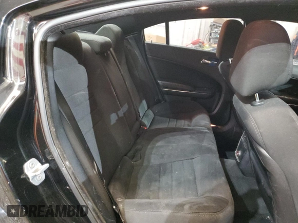 2013 Dodge Charger SE with VIN 2C3CDXBG1DH725486, listed as a Copart auction lot 49420265 with 215,154 mi miles and Salvage Title. Bid and sale history available at DreamBid. Image 10.