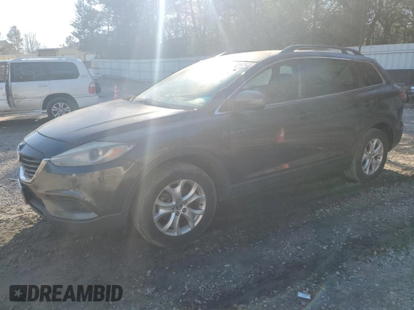 2013 Mazda CX-9 Sport with VIN JM3TB2BA6D0409223, listed as a Copart auction lot 87695625 with 261,352 mi miles and Clean Title. Bid and sale history available at carsss.com. Image 1.