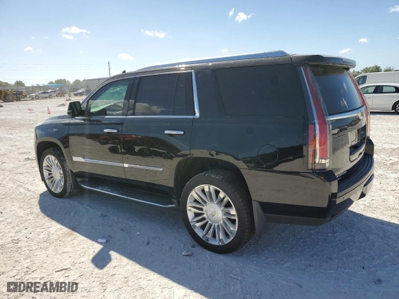 2016 Cadillac Escalade Luxury Collection with VIN 1GYS4BKJ6GR249014, listed as a Copart auction lot 49826755 with 116,444 mi miles and Clean Title. Bid and sale history available at carsss.com. Image 2.