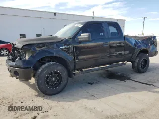 2009 Ford F-150 STX with VIN 1FTRX14W09FA24655, listed as a Copart auction lot 46085665 with Not Provided miles and Salvage Title. Bid and sale history available at DreamBid. Image 1.